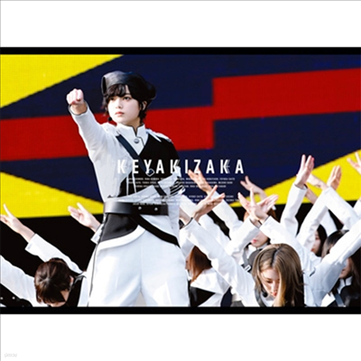 Keyakizaka46 (ɾŰī46) - 䪭2018 (ڵ2)(2DVD) (ȸ)