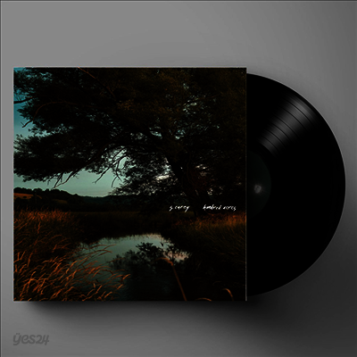 S. Carey - Hundred Acres (Black Vinyl LP+Download Code)