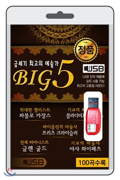 (USB) BIG5 (금세기 최고의 예술가)