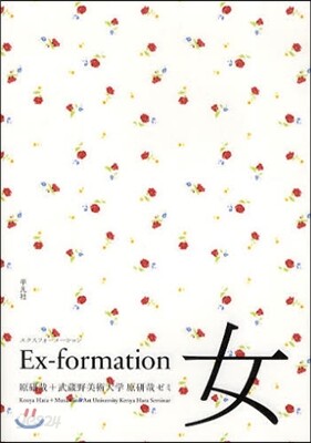 Ex-formation 女