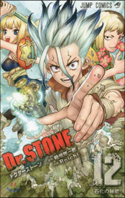 Dr.STONE  12