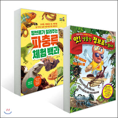 앗! 생물인 정브르가 왔다 절지동물 편 + 정브르가 알려주는 파충류 체험 백과 세트
