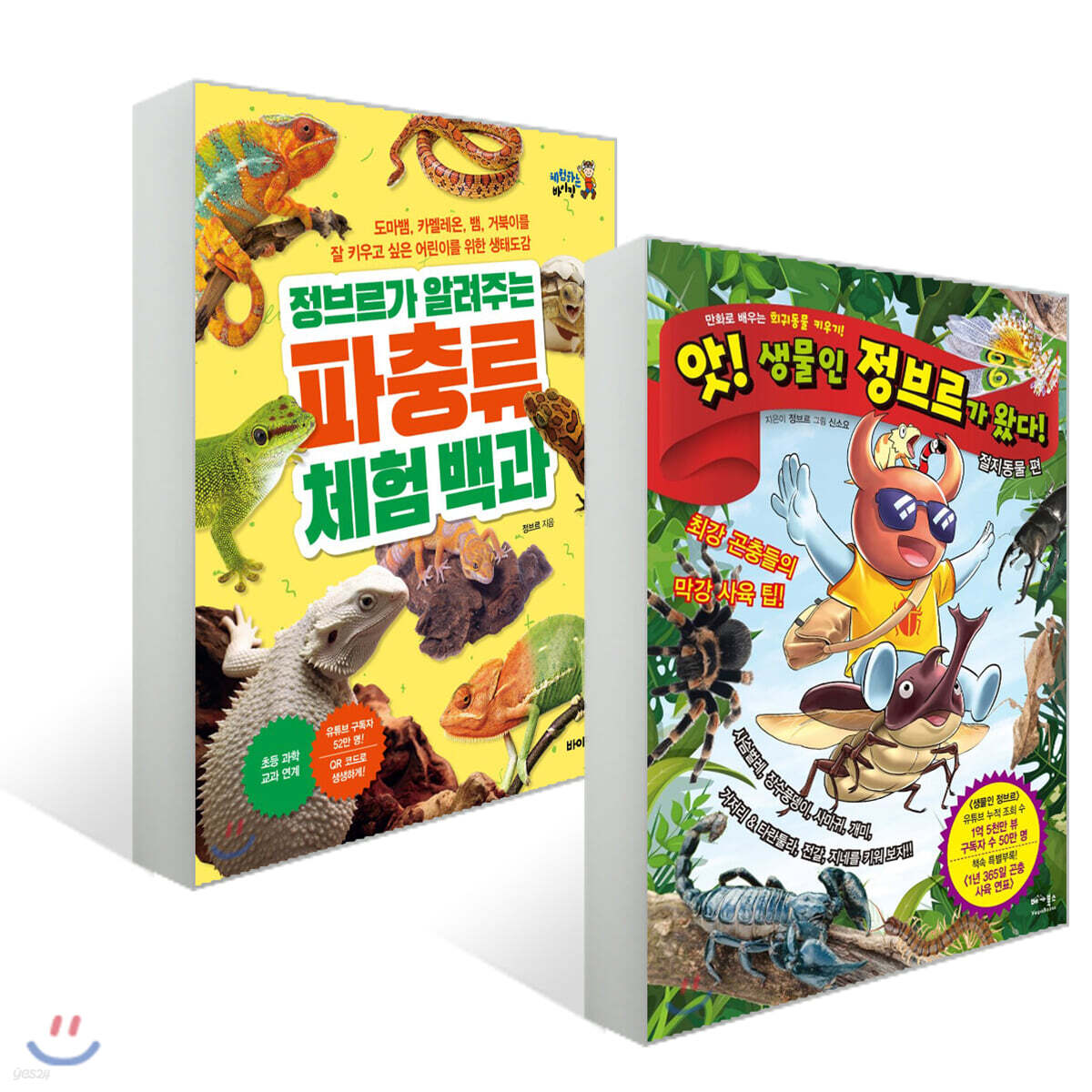 앗! 생물인 정브르가 왔다 절지동물 편 + 정브르가 알려주는 파충류 체험 백과 세트