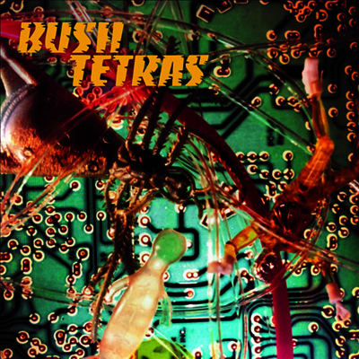 Bush Tertas — There Is A Hum / Seven Years 앨범 커버