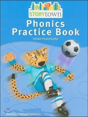 [Story Town] Grade 3-6 : Phonics Practice Book Student Edition