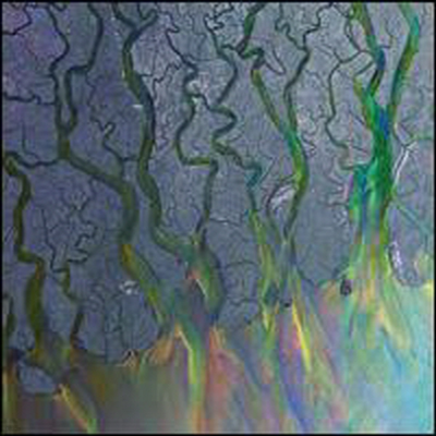 alt-J - An Awesome Wave (Digipack)(CD)