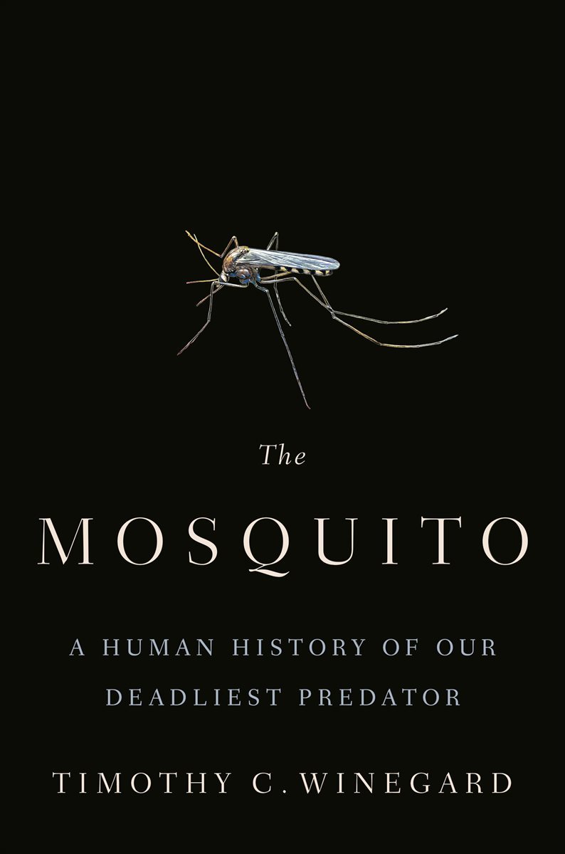 The Mosquito