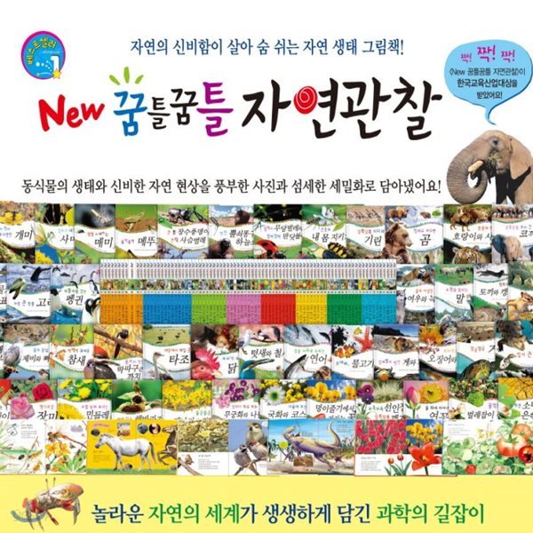 [톨스토이] New 꿈틀꿈틀자연관찰/전 84권/씽씽펜가능/고급원목 독서대기증/정품새책