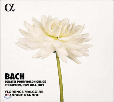 Florence Malgoire / Blandine Rannou 바흐: 바이올린 소나타 BWV 1014-1019)