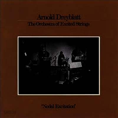 Arnold Dreyblatt - Nodal Excitation (Vinyl LP)