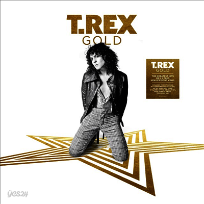T. Rex - Gold (180g Vinyl 2LP)