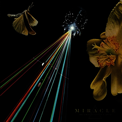 Miracle — Strife Of Love In A Dream 앨범 커버