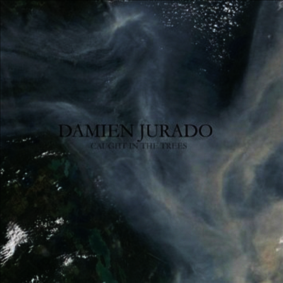 Damien Jurado — Caught In The Trees 앨범 커버