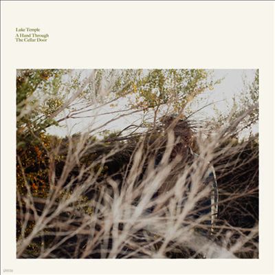 Luke Temple — Hand Through The Cellar Door 앨범 커버
