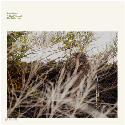 Luke Temple - Hand Through The Cellar Door(LP)