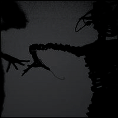Twilight Singers — Dynamite Steps 앨범 커버