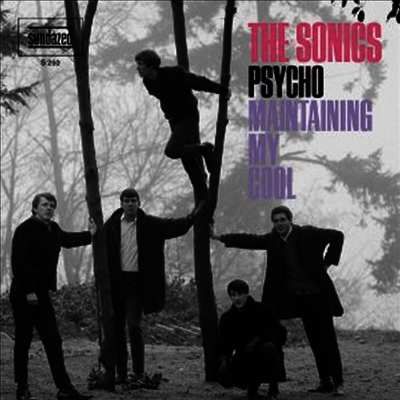 Sonics - Psycho / Maintaining My Soul (Single)(LP)