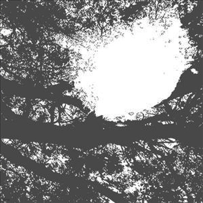 Comets On Fire — Field Recordings From The Sun 앨범 커버