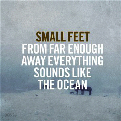 Small Feet - From Far Enough Away Everything Sounds Like The Ocean (Vinyl LP)