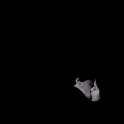 Bob Moses — Days Gone By 앨범 커버