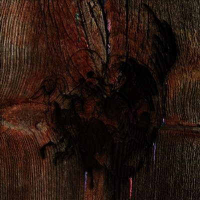 Avey Tare's Slasher Flicks - Enter The Slasher House (2LP)