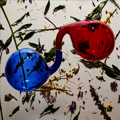 Dirty Projectors — Lamp Lit Prose (Gatefold Cover) 앨범 커버