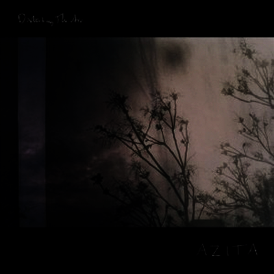 Azita — Disturbing The Air 앨범 커버