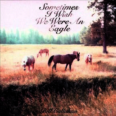 Bill Callahan — Sometimes I Wish We Were An Eagle 앨범 커버