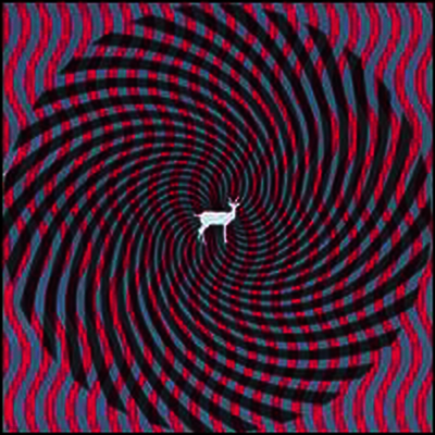 Deerhunter — Cryptograms / Flourescent Grey 앨범 커버