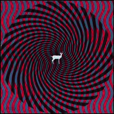 Deerhunter - Cryptograms / Flourescent Grey (LP)