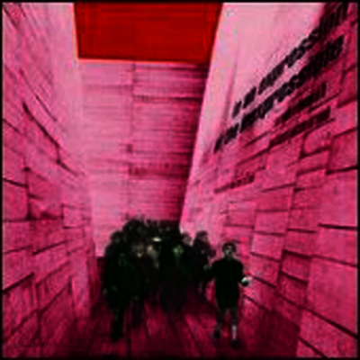 Blonde Redhead - In An Expression Of The Inexpressible (LP)