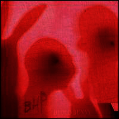 Black Heart Procession — Blood Bunny / Black Rabbit 앨범 커버