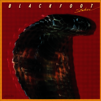 Blackfoot - Strikes (Limited Edition)(Anniversary Edition)(180G)(LP)