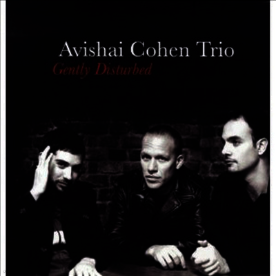 Avishai Cohen — Gently Disturbed 앨범 커버