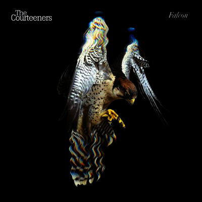 Courteeners — Falcon (MP3 Download) 앨범 커버