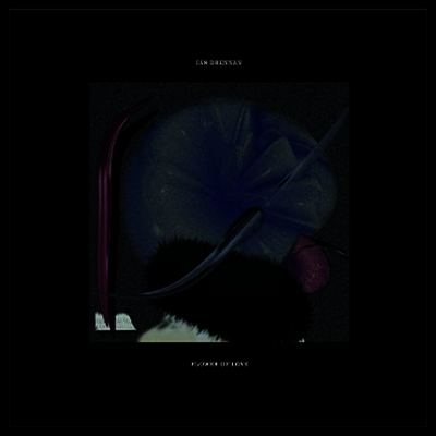 Ian Drennan — Flower Of Love 앨범 커버