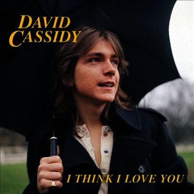 David Cassidy — I Think I Love You (Limited Edition) 앨범 커버