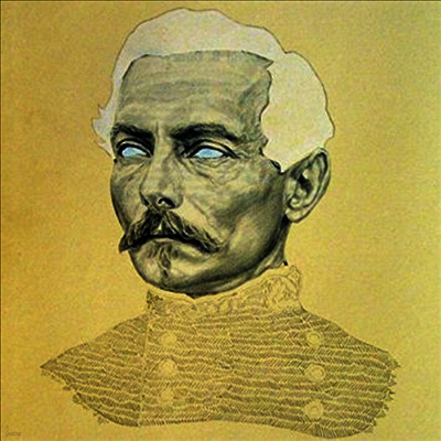 Rogue Wave — Delusions Of Grand Fur 앨범 커버