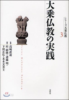 シリ-ズ大?佛敎 3