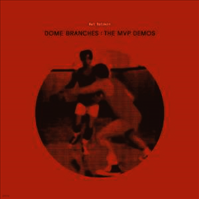 Nat Baldwin — Dome Branches: Mvp Demo 앨범 커버