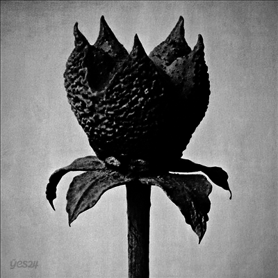 Masayoshi Fujita - Book Of Life (MP3 Download)(LP)