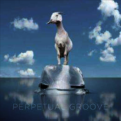 Perpetual Groove — Perpetual Groove 앨범 커버