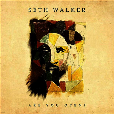Seth Walker — Are You Open? 앨범 커버