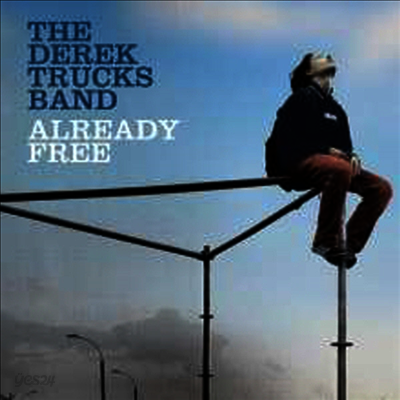Derek Trucks Band - Already Free (Gatefold)(180G)(2LP)