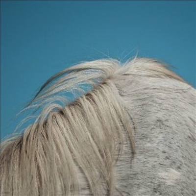 Widowspeak — All Yours 앨범 커버
