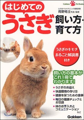 はじめてのうさぎ飼い方.育て方