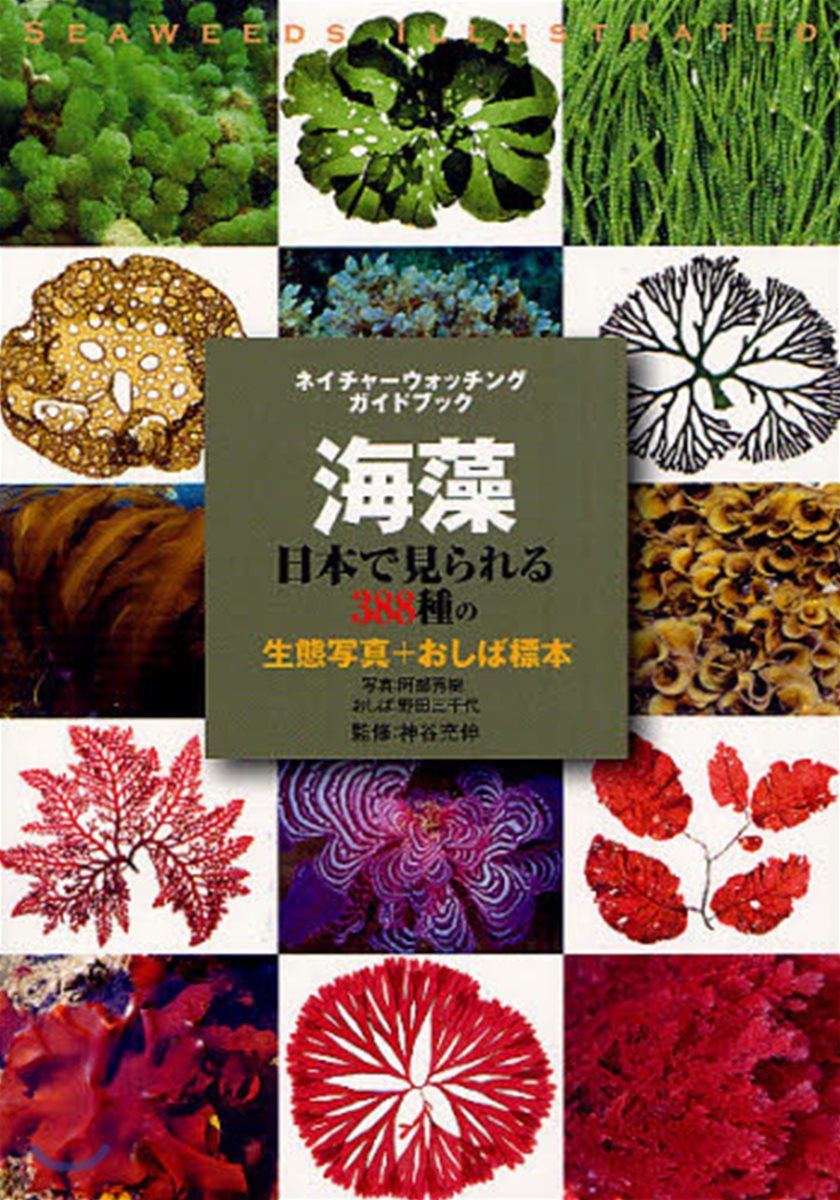 海藻 日本で見られる388種の生態寫眞+おしば標本