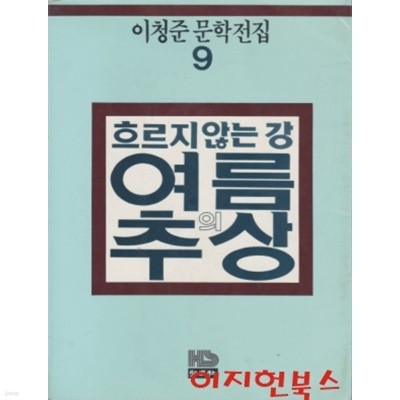 이청준 문학전집 9 : 흐르지 않는 강 여름의 추상