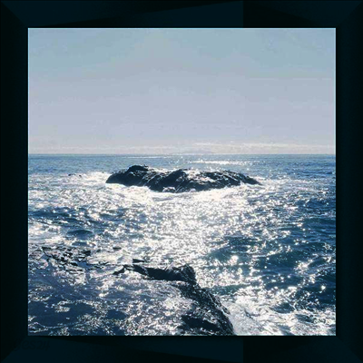 Takao - Stealth (LP)