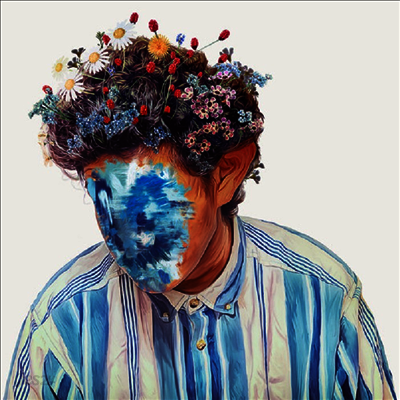 Hobo Johnson - Fall Of Hobo Johnson (LP)